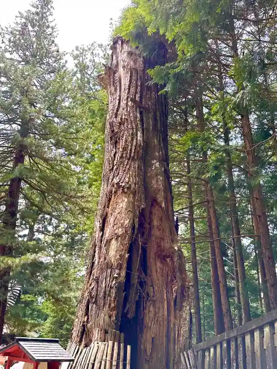 日光東照宮奥宮拝殿(栃木県)