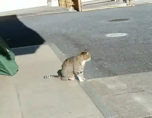 白金氷川神社の動物