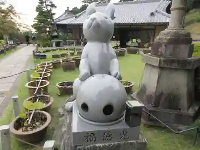三室戸寺の狛犬