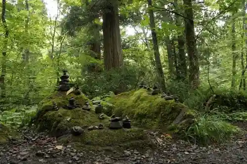 戸隠神社奥社の自然