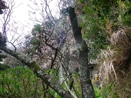 浄光明寺の本殿・本堂