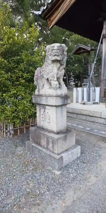 白山神社(木曽川町黒田)の狛犬