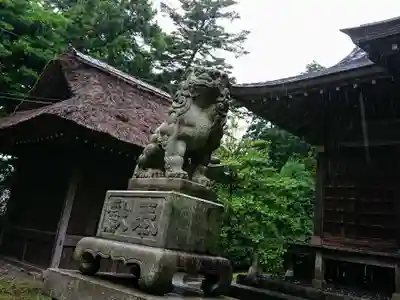 五所八幡宮の狛犬