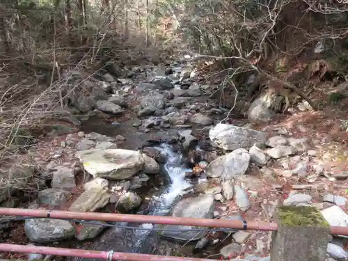 花園神社の自然