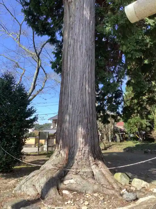 八剣神社(岐阜県)