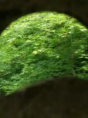 普門寺(切り絵御朱印発祥の寺)(愛知県)