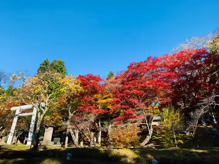 土津神社|こどもと出世の神さまのその他建物