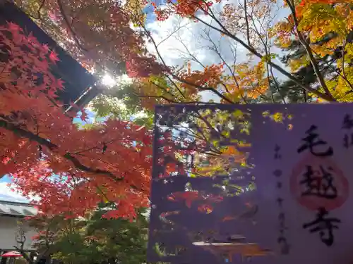 毛越寺の御朱印