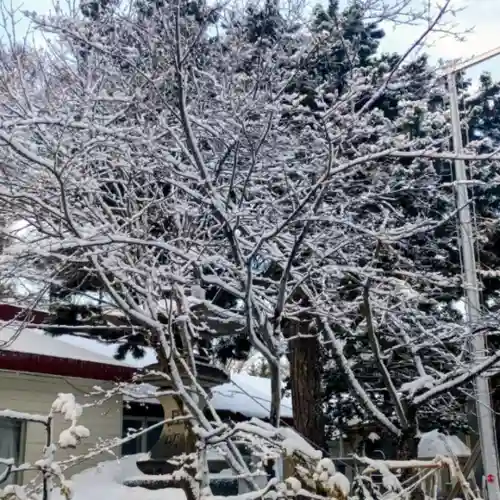 彌彦神社　(伊夜日子神社)(北海道)