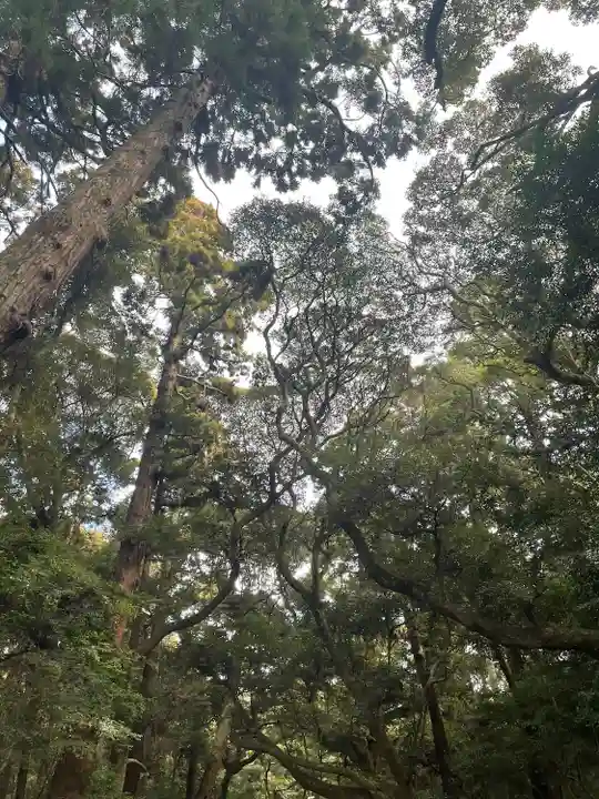 鹿島神宮(茨城県)