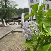 手力雄神社のその他建物