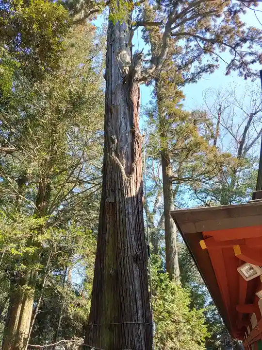 一言主神社(茨城県)