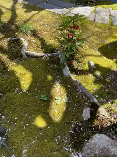 往生院(京都府)