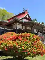 石崎地主海神社の{uncategorized: "未分類", other: "その他", undefined: "問題あり", building: "その他建物", grave: "お墓", sacred_gate: "鳥居", guardian: "狛犬", statue: "像", buddha: "仏像", history: "歴史", nature: "自然", garden: "庭園", animal: "動物", pagoda: "塔", temizu: "手水舎", mountain_gate: "山門・神門", sanctuary: "本殿・本堂", subordinate: "末社・摂社", art: "芸術", scenery: "景色", jizo: "地蔵", ema: "絵馬", goshuin: "御朱印", omikuji: "おみくじ", items: "授与品その他", amulet: "お守り", goshuincho: "御朱印帳", eats: "食事", festival: "お祭り", votive_dance: "神楽", shichigosan: "七五三参", wedding: "結婚式", experience: "体験その他", initially: "初詣", around: "周辺", anti_infection: "感染症対策"}