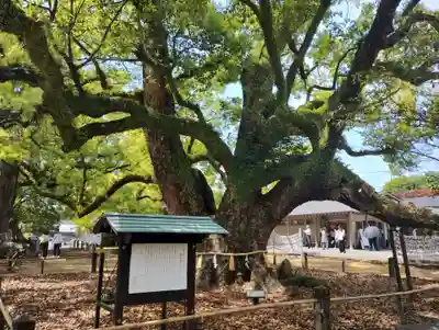 諫早神社（九州総守護  四面宮）(長崎県)