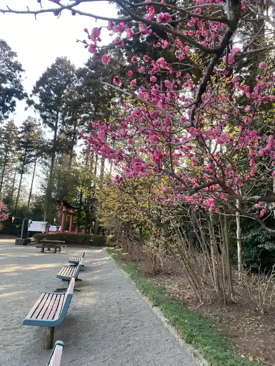 芳賀天満宮(栃木県)