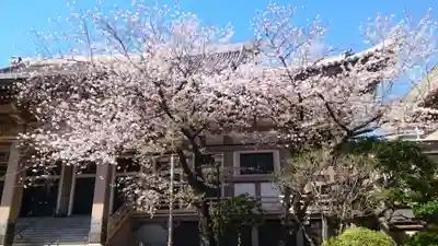 東本願寺(東京都)