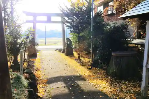 王宮伊豆神社の鳥居