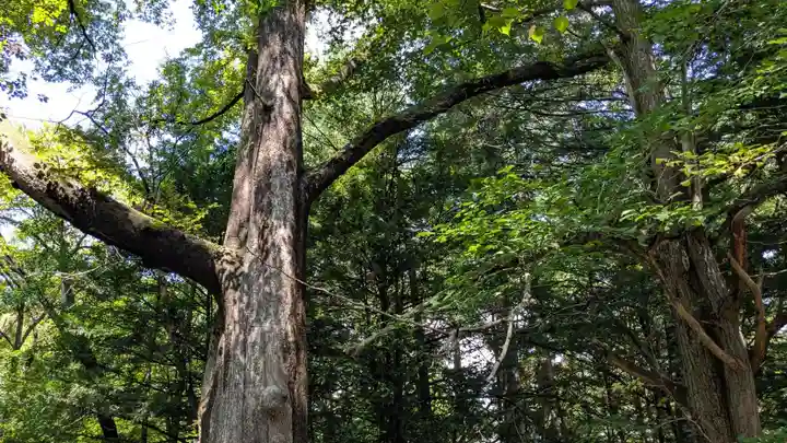 帯廣神社の自然