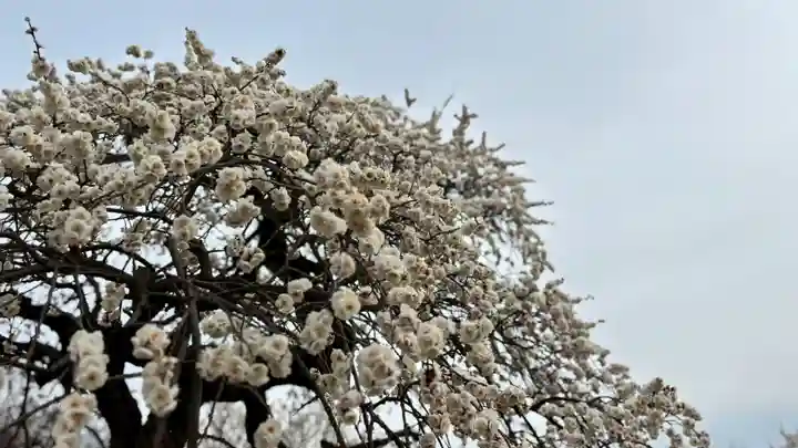 神前神社(岡山県)