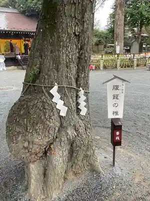 七社神社(東京都)