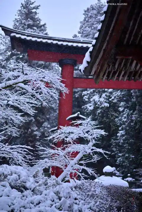 北口本宮冨士浅間神社(山梨県)