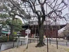 大報恩寺（千本釈迦堂）(京都府)