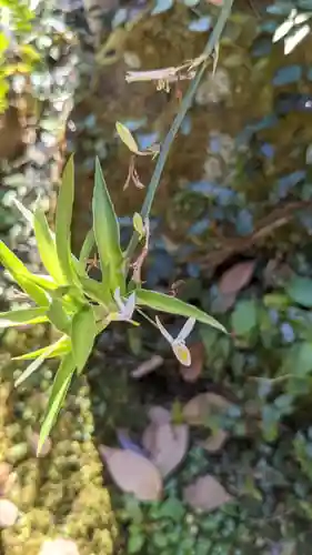 持宝院の庭園