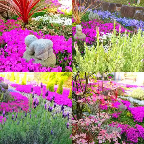 寿量山　速成寺の自然