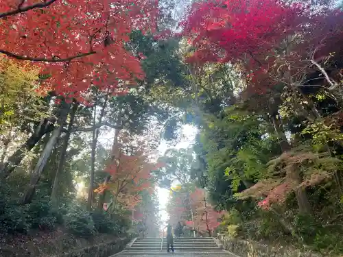 光明寺（粟生光明寺）(京都府)