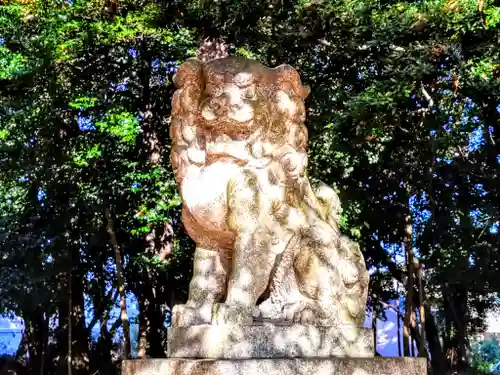 神明社（今岡神明社）の狛犬