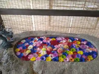 金井神社の手水舎