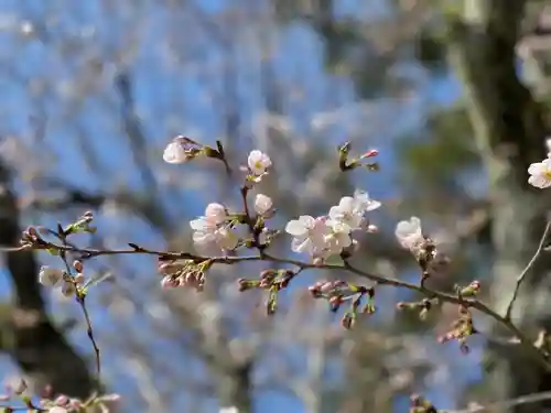 伊勢の国 四天王寺(三重県)