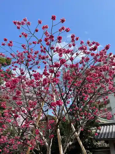蒲田八幡神社の自然