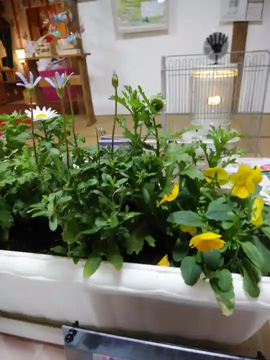 高司神社〜むすびの神の鎮まる社〜(福島県)