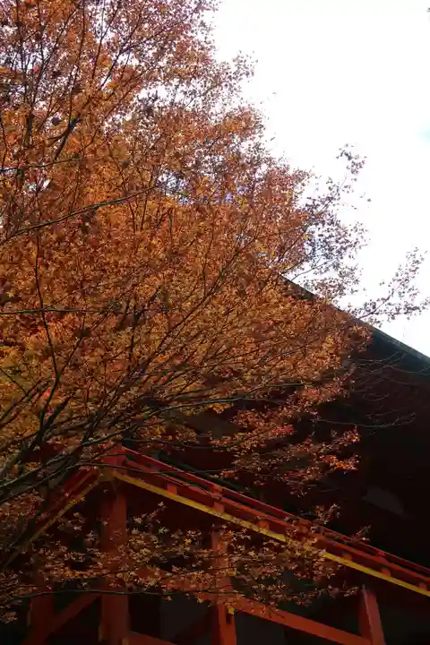 比叡山延暦寺(滋賀県)