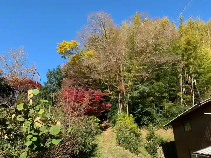 苗鹿神社(千葉県)