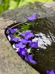 鹿島大神宮の手水