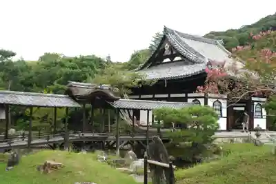 高台寺（高台寿聖禅寺・高臺寺）(京都府)