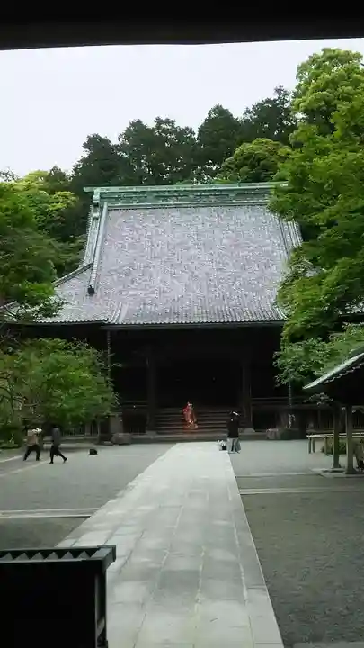 妙本寺の本殿・本堂
