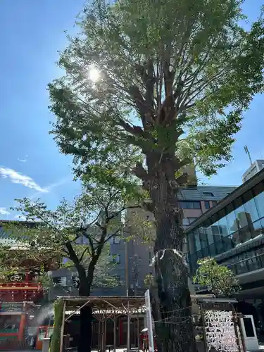 神田神社（神田明神）(東京都)