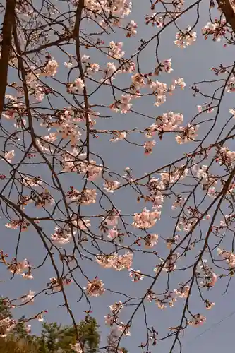 西部八幡神社(愛媛県)