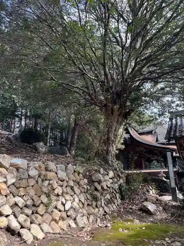 手力雄神社(岐阜県)