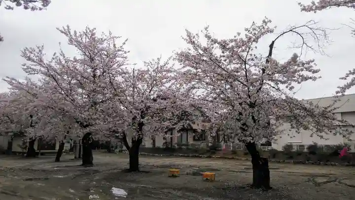 石和八幡宮(官知物部神社)の自然