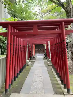 富岡八幡宮の鳥居