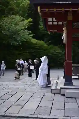 鶴岡八幡宮(神奈川県)