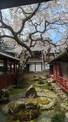 十輪寺(京都府)