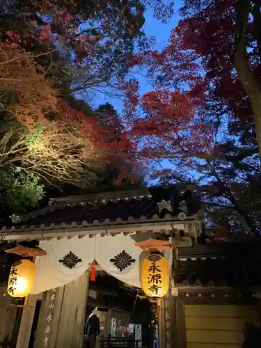 永源寺の山門