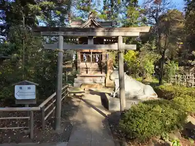 白岡八幡神社(埼玉県)