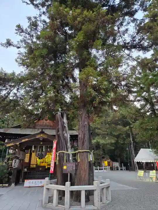 建部大社(滋賀県)